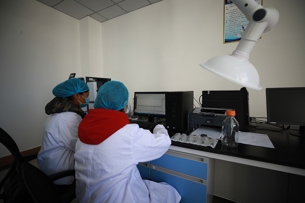 1548052918726457.jpg IMG_8646.jpg