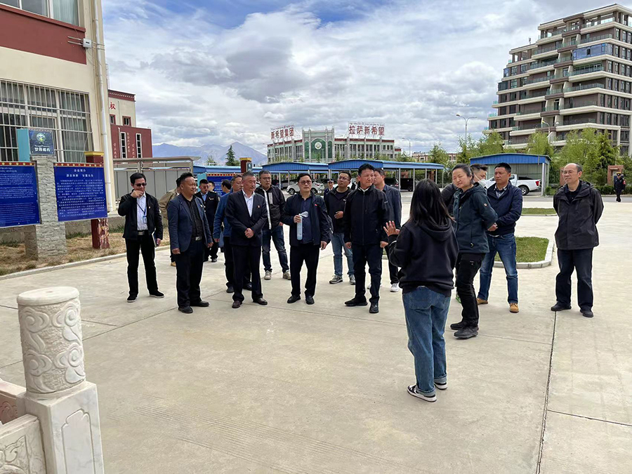 1685353359881352.jpg P3.jpg