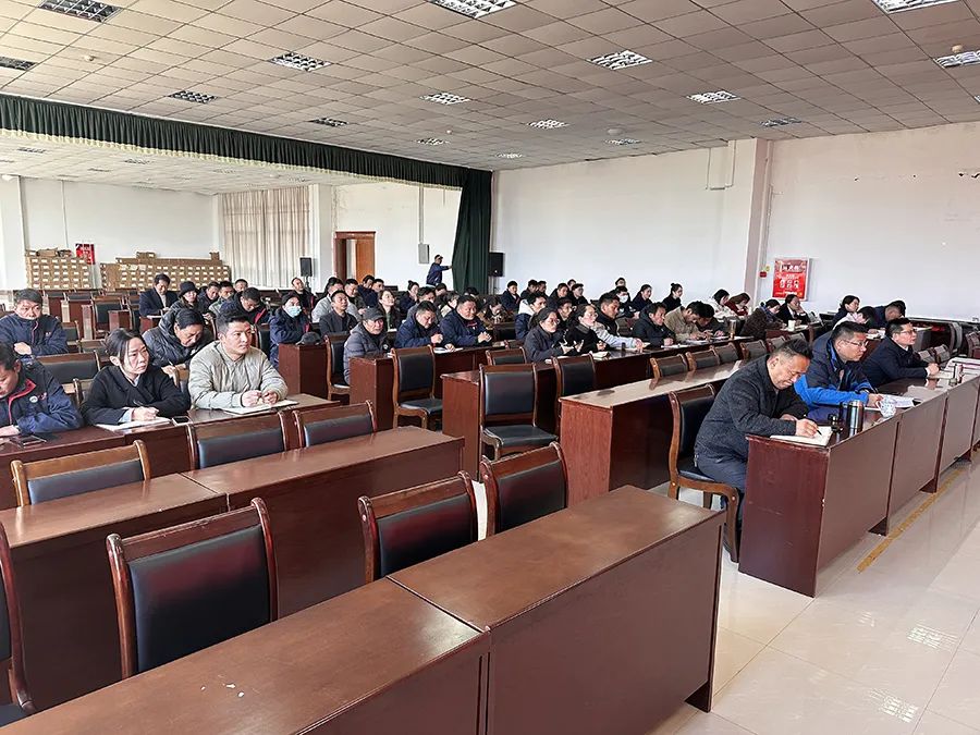 1699859626652667.jpg P2.jpg