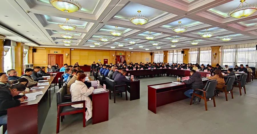 1701937519556512.jpg P4.jpg